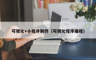 鹤壁可视化+小程序制作（可视化程序编程）